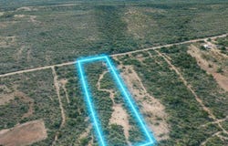 20 acres Cr 421, Christine, TX 78012