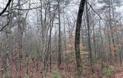 000000 hwy 68, Tellico Plains, TN 37385