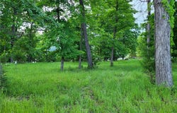 Emerald Hills Drive, Edwards, MO 65326