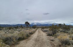 202nd St E & Ave X4, Llano, CA 93544