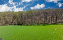 WILSON Road, WHITE HALL, MD 21161