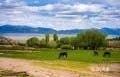 1090 W Cherry Creek Road, Ely, NV 89301