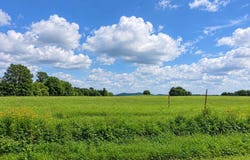 Double S Road, Dayton, TN 37321