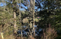 5 HILLTOP Dr, Lakeside, OR 97449
