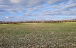 Kennedy Road, Ovid, NY 14521