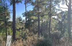 Wahane, Bastrop, TX 78602