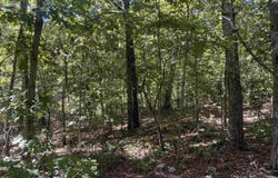 Ridgehaven Road, Mammoth Spring, AR 72554