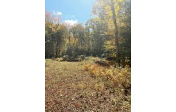 Brook Road lot: 4, Hampton, CT 06247