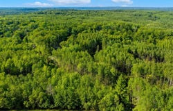 Lot 2, Walker, MN 56484