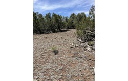 10329 N SAINT FRANCIS Avenue, Williams, AZ 86046