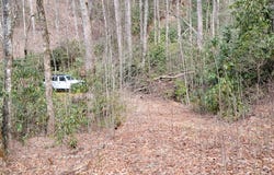 Bald Mountain, Dillard, GA 30537