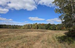Towerline Road, Hale, MI 48739