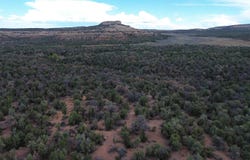 9400 Canal Road, Glade Park, CO 81523