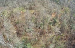 CR 3107, Call, TX 75933