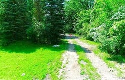 Ecorse Road, Romulus, MI 48174