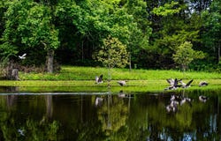 919 Harrell Road, Howe, TX 75459