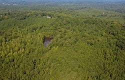 MORTON CHAPEL Rd, Vernon, AL 35592