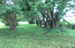 1151 G Avenue, Ogden, IA 50212