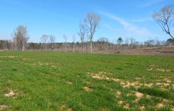 688 Graysport Crossing Road lot: 12, Gore Springs, MS 38929