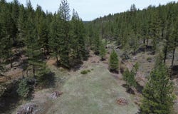 Roney Flat Road, Adin, CA 96006