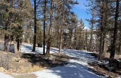 806 Middle Fork lot: 357, FAIRPLAY, CO 80440