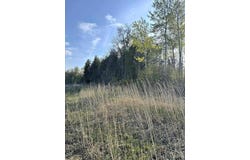 TBD Lot 2 M-35 Highway, Menominee, MI 49858