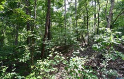 Prince Circle lot: 67, Southside, AL 35907