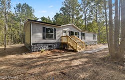 1110 Lecounte Road SW, Townsend, GA 31331