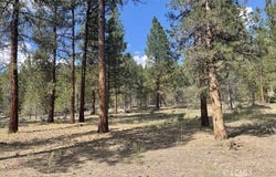 Tableland RD, Chiloquin, OR 97624