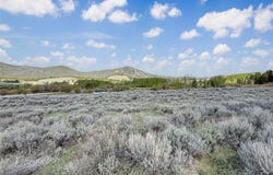 Clark Creek RD lot: 10, Polaris, MT 59746