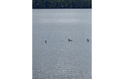 416 S Shore Road, Island Falls, ME 04747