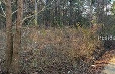 268 Sylvester Road, Varnville, SC 29944