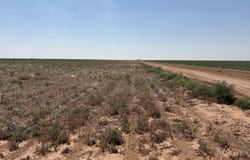 Elk, Levelland, TX 79336