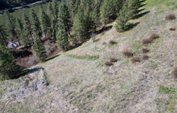 Old Peck Grade, Lenore, ID 83541