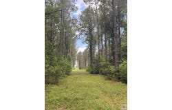 Cr 1926, Linden, TX 75563
