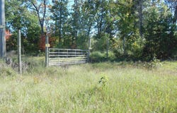 3572 N Ball Avenue, Harrison, MI 48625