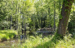 Garland Road, Henderson, TN 38340