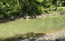 Tract 4 Pea Ridge Rd, Waddy, KY 40076