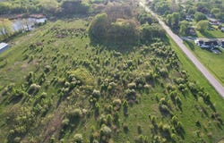 Widows Road, Wilmington, IL 60481
