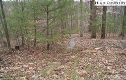 Forest Hill Drive lot: 75, Sparta, NC 28675