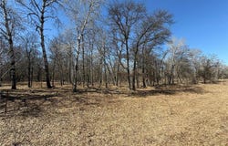 Tract J 175th Avenue, Park Rapids, MN 56470