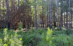124 Hawkin Rd., Dozier, AL 36028
