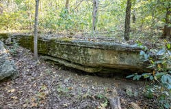 Calhan Circle, Clarkridge, AR 72623