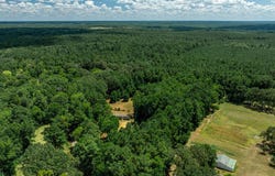 1255 CR 256, San Augustine, TX 75972