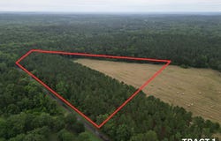 CR 4565, Bivins, TX 75555