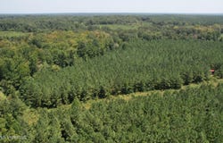 Cr 2132, McCool, MS 39108