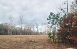 The Bluffs, Edgemont, AR 72088
