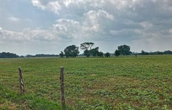 Neiser Lane, Weimar, TX 78962