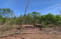 Tract 4 Coop Trail, Bismarck, AR 71929