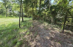 22695 County Road 223, Arp, TX 75750
